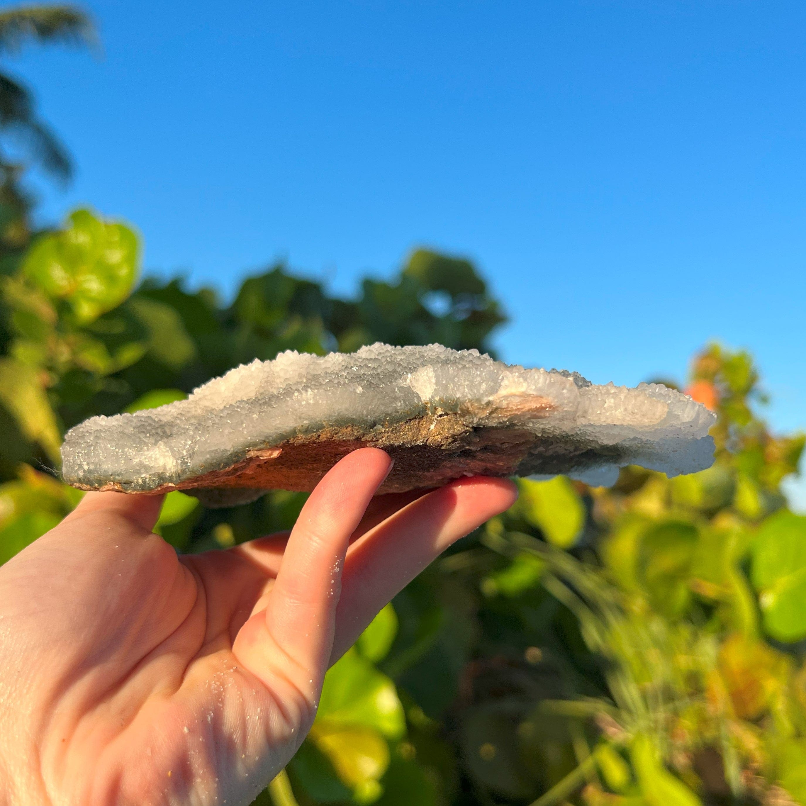 Black Semi-Clear Chalcedony Plate