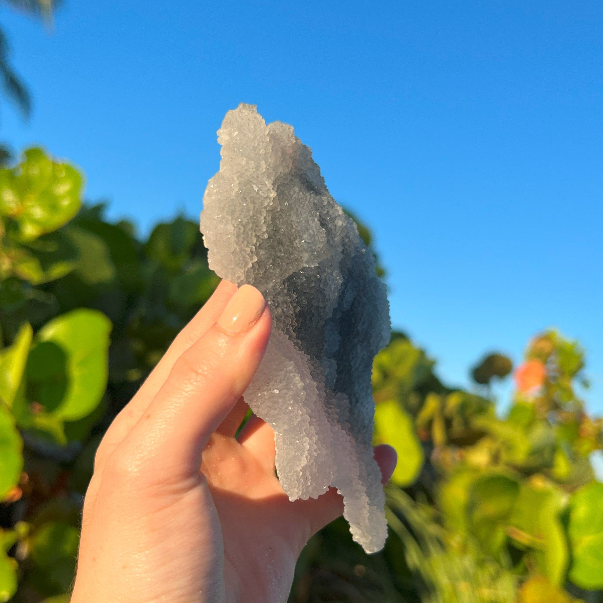 Black Semi-Clear Chalcedony Plate