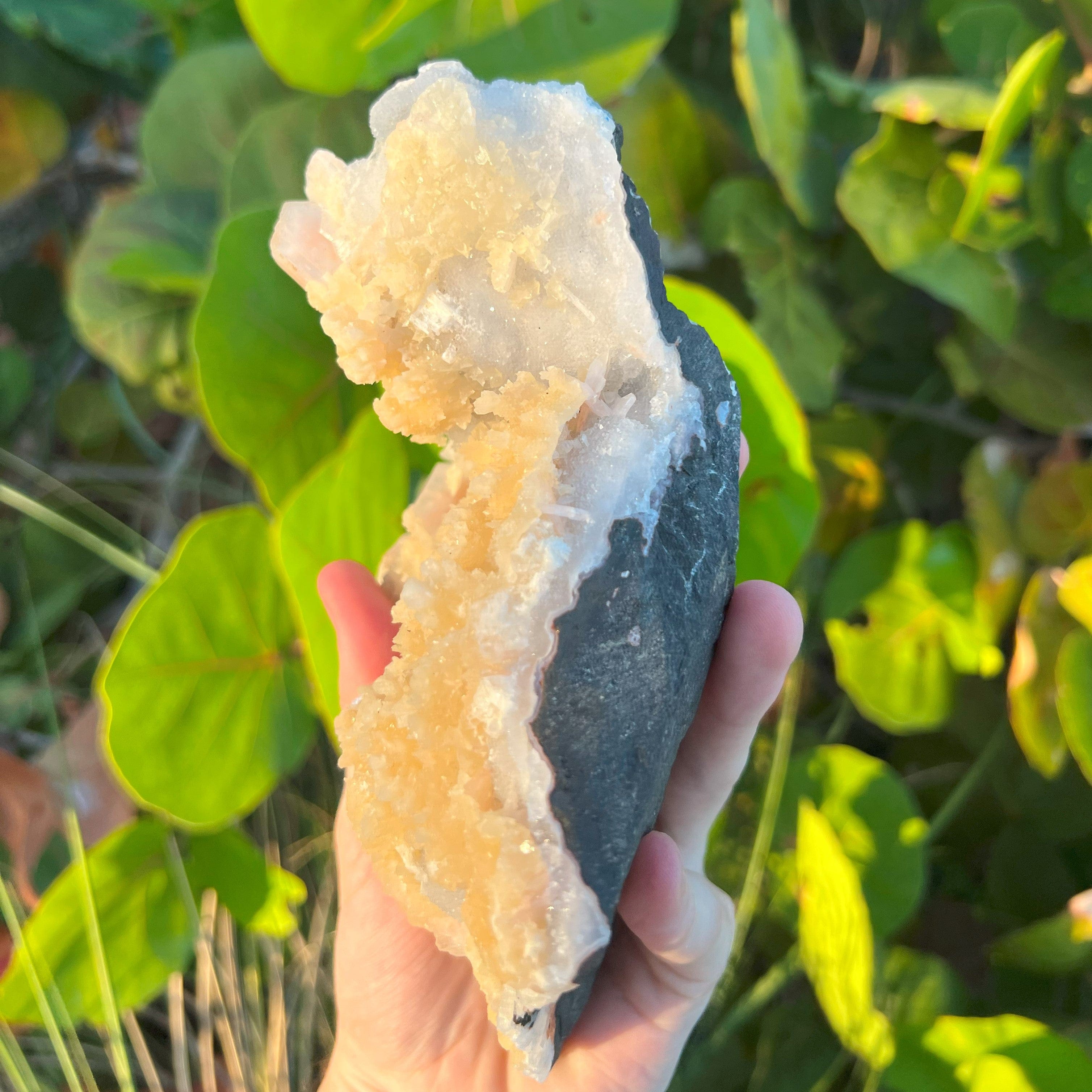 Large Yellow Stilbite On Calcite Druzy