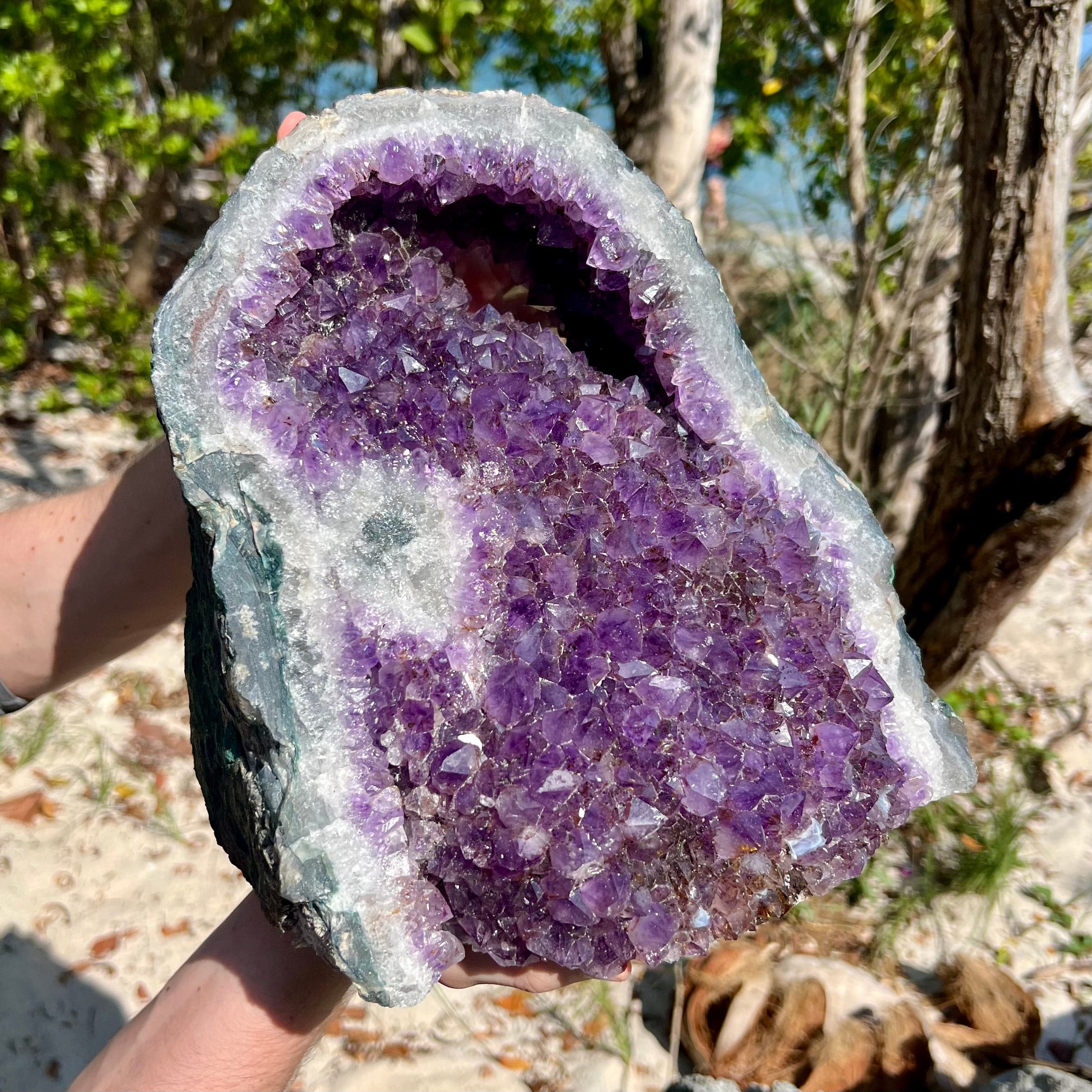 29Lb Amethyst Protruding Standing Cathedral With Rare Natural Finish