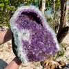 29Lb Amethyst Protruding Standing Cathedral With Rare Natural Finish